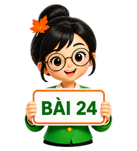 Bài 24