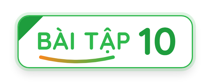Bài tập 10