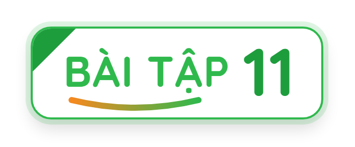 Bài tập 11