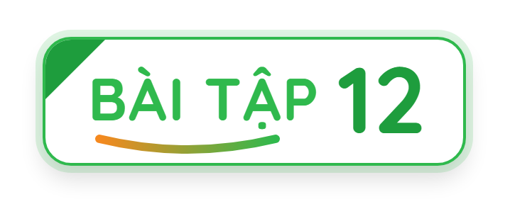 Bài tập 12