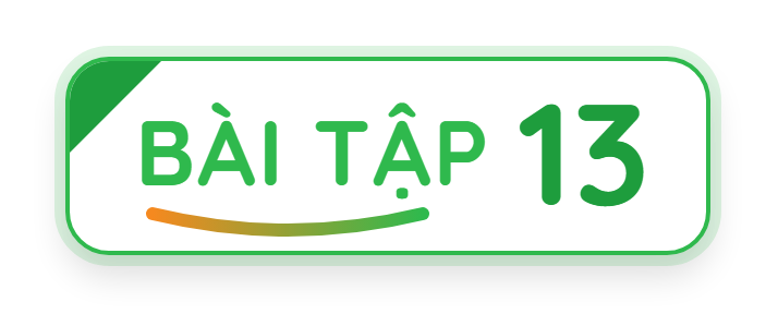 Bài tập 13