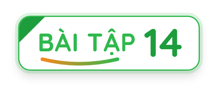 Bài tập 14