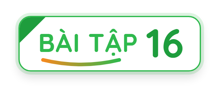 Bài tập 16