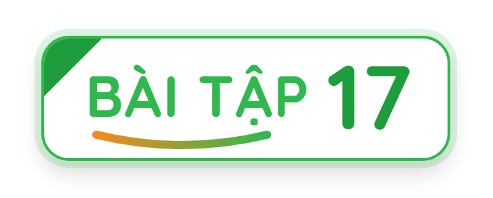 Bài tập 17