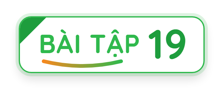 Bài tập 19