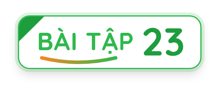 Bài tập 23