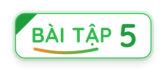 Bài tập 5